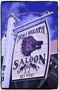 30th Oct 2013 - Hog's Breath Saloon