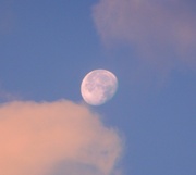 22nd Oct 2013 - Pink Clouds & the Moon