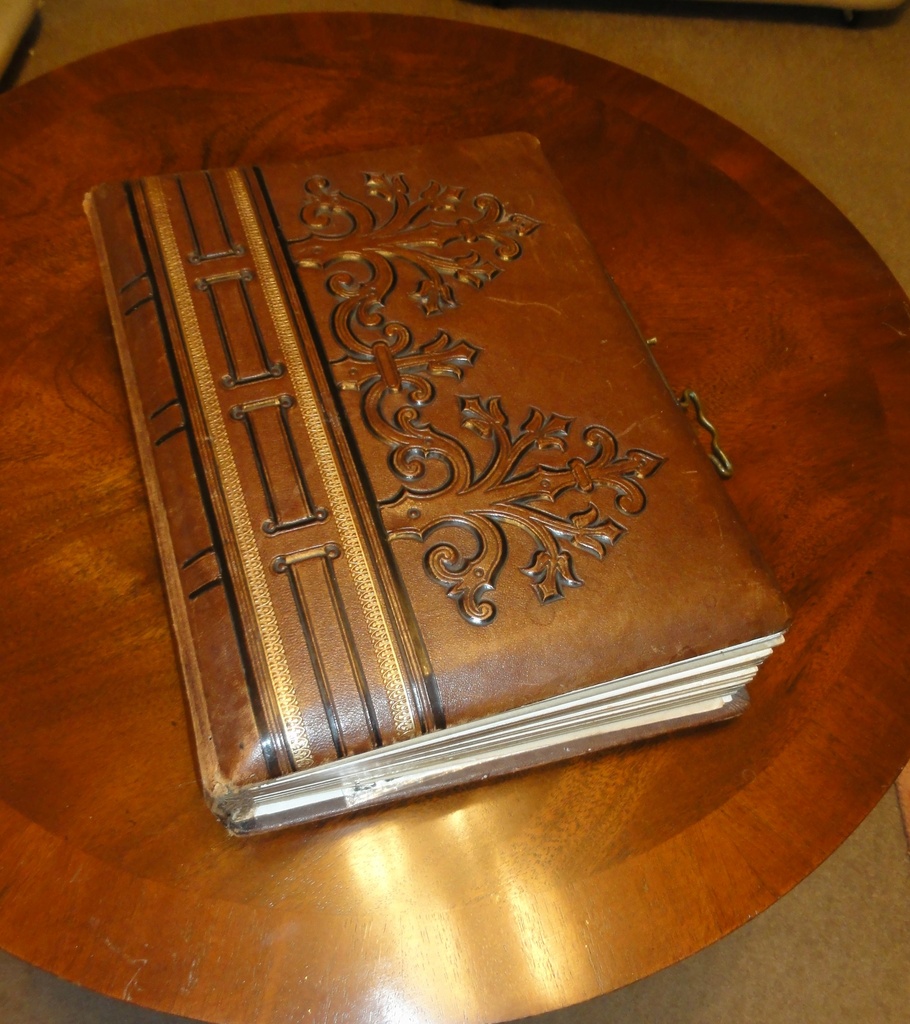 The leather bound album  by beryl