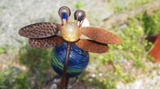 8th Oct 2013 - Rusty 'dragonfly'