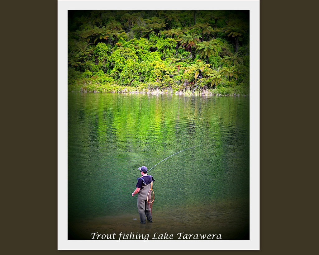 Trout Fisherman... by julzmaioro