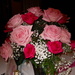 Roses in two shades of pink by kchuk
