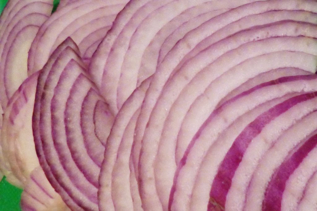 Red Onion by lellie