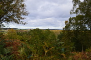 6th Dec 2013 - Rural View
