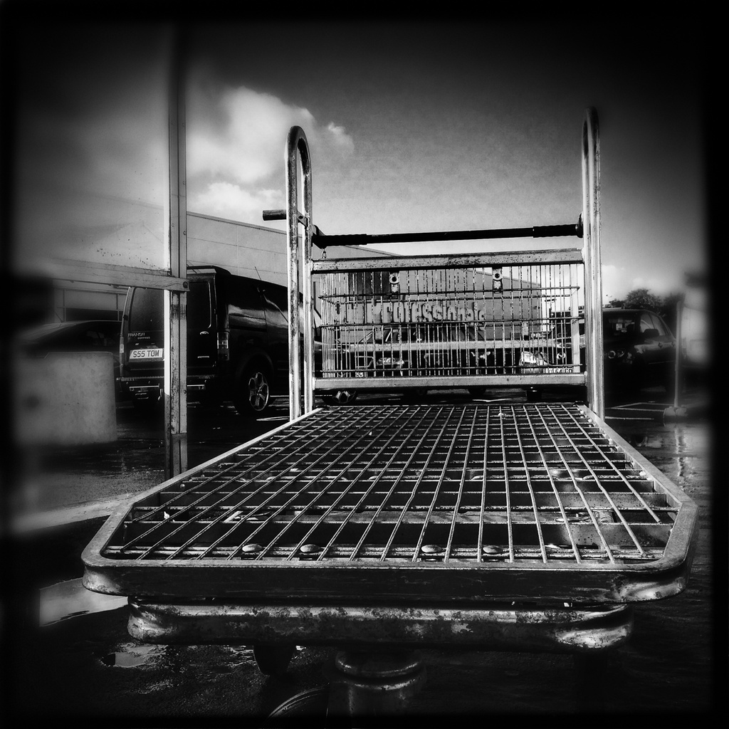 Shopping cart by jocasta