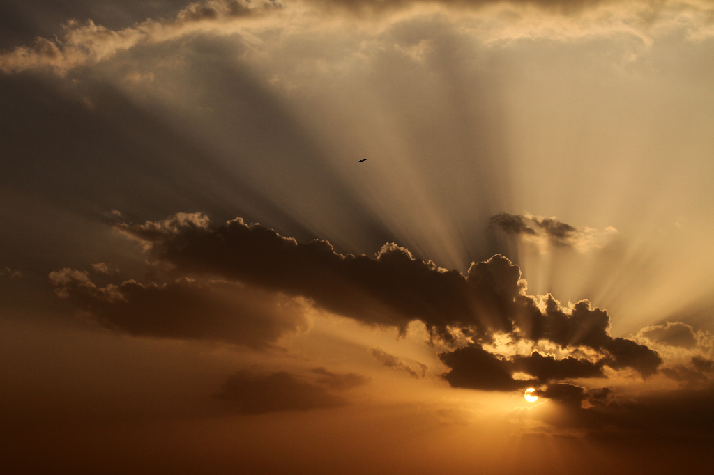 Heaven's rays by angelar