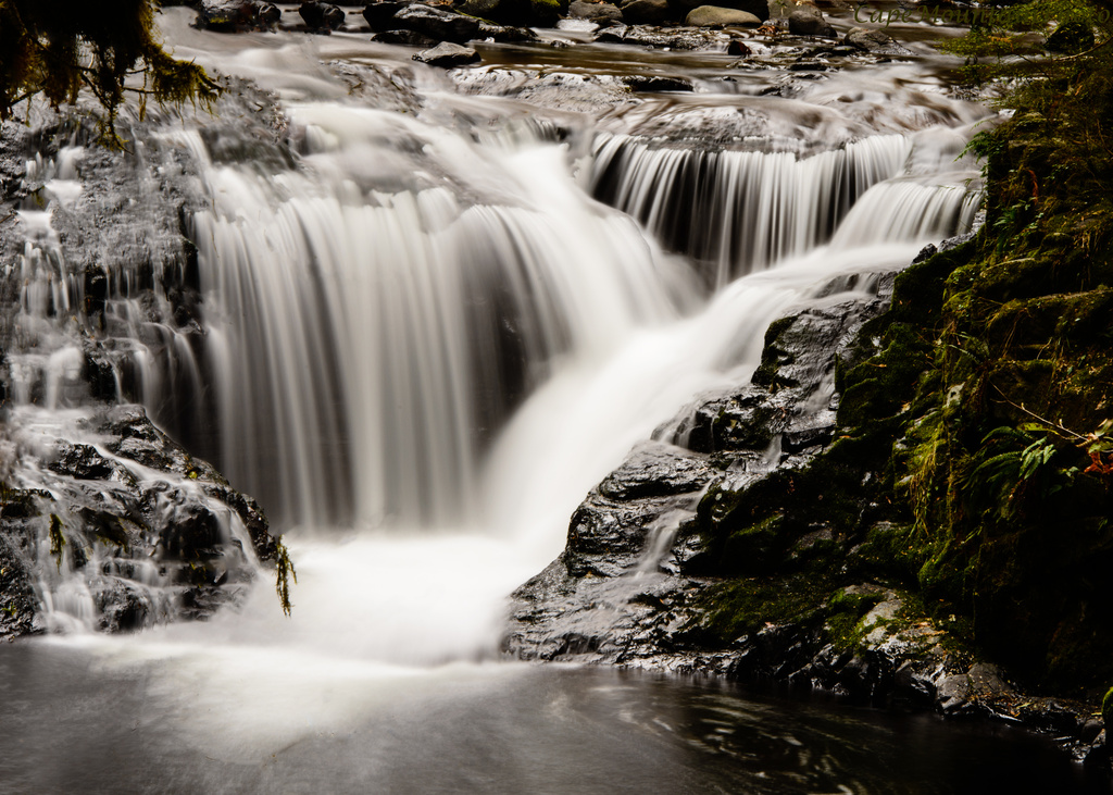 Sweet Creek Falls 3   by jgpittenger