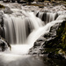 Sweet Creek Falls 3   by jgpittenger