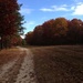 Autumn path by pfaith7
