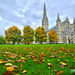 Salisbury Cathedral ~ 4 by seanoneill