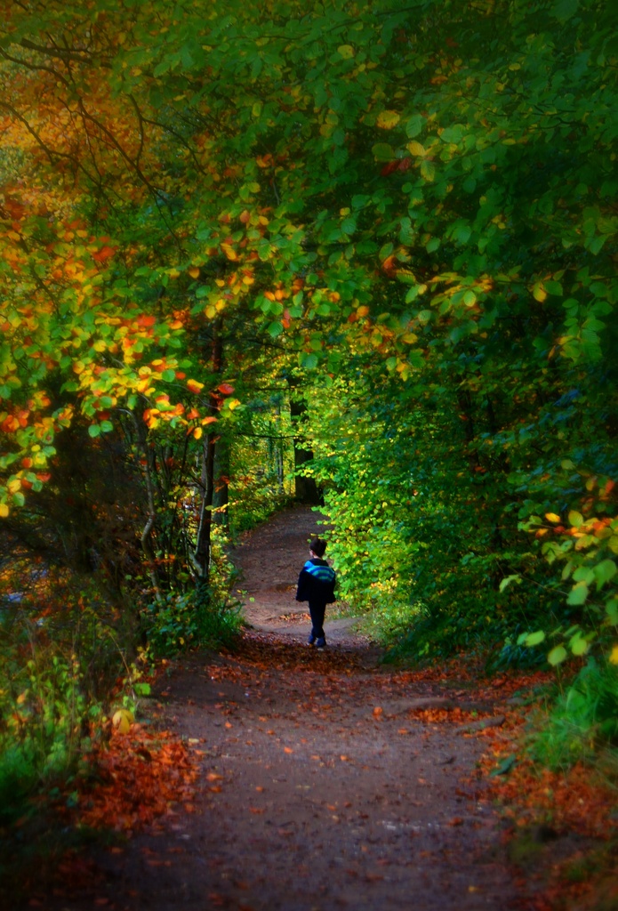 Stepping into Autumn by jesperani