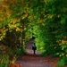 Stepping into Autumn by jesperani