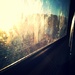 Dirty train window... by fauxtography365