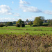4th November 2013 - Across the fields by pamknowler