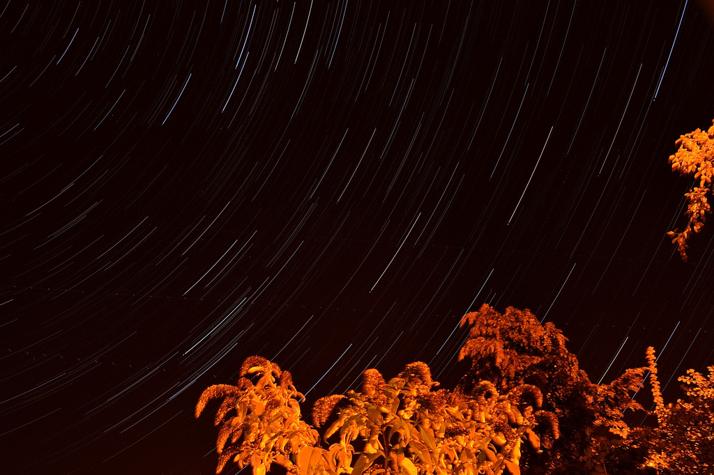 Star trails by richardcreese