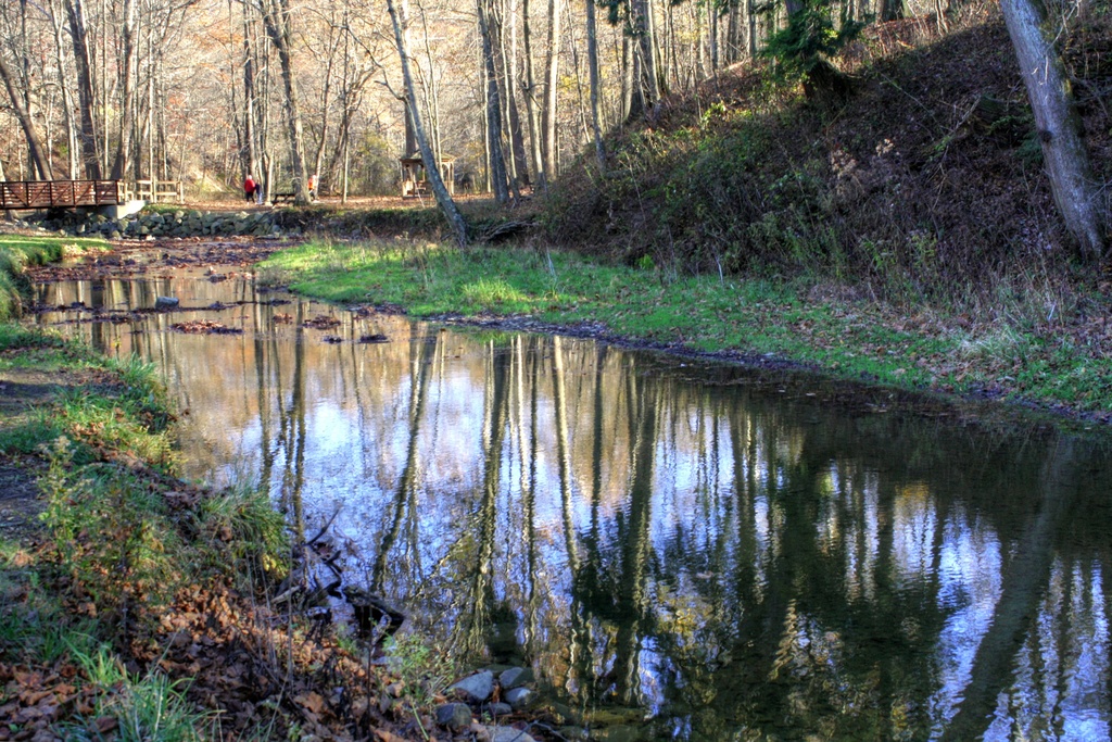 Autumn reflections two by mittens