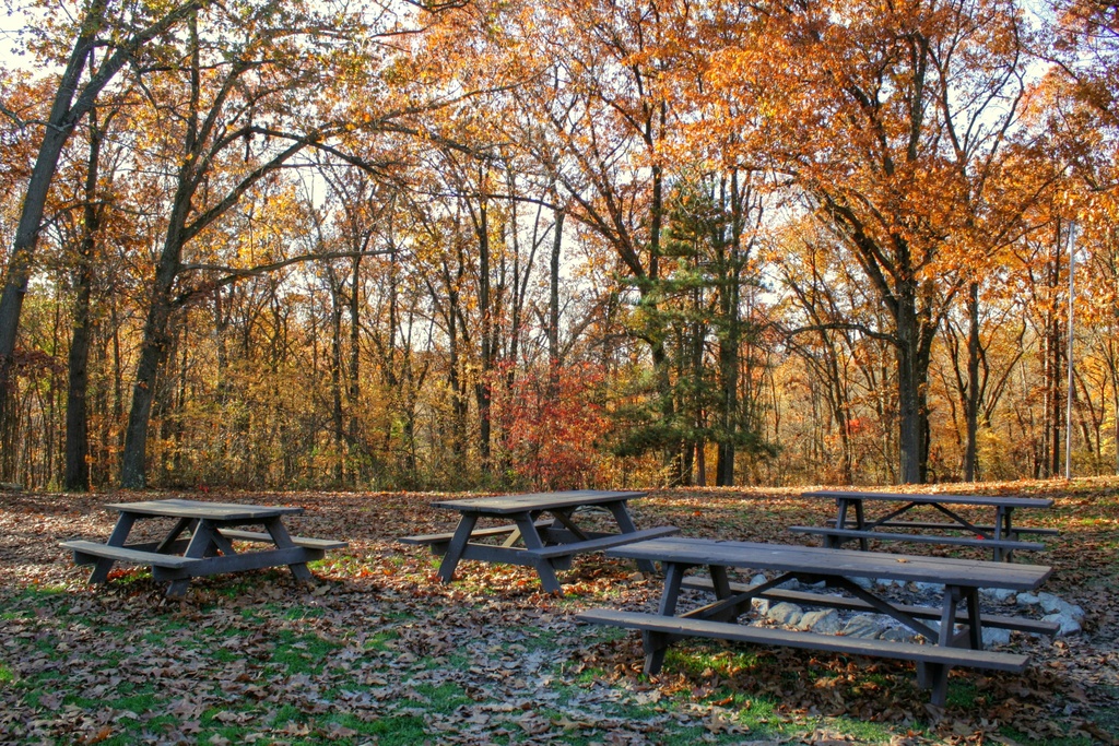 Picnic tables by mittens