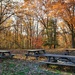 Picnic tables by mittens