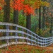 Autumn Fence by sbolden