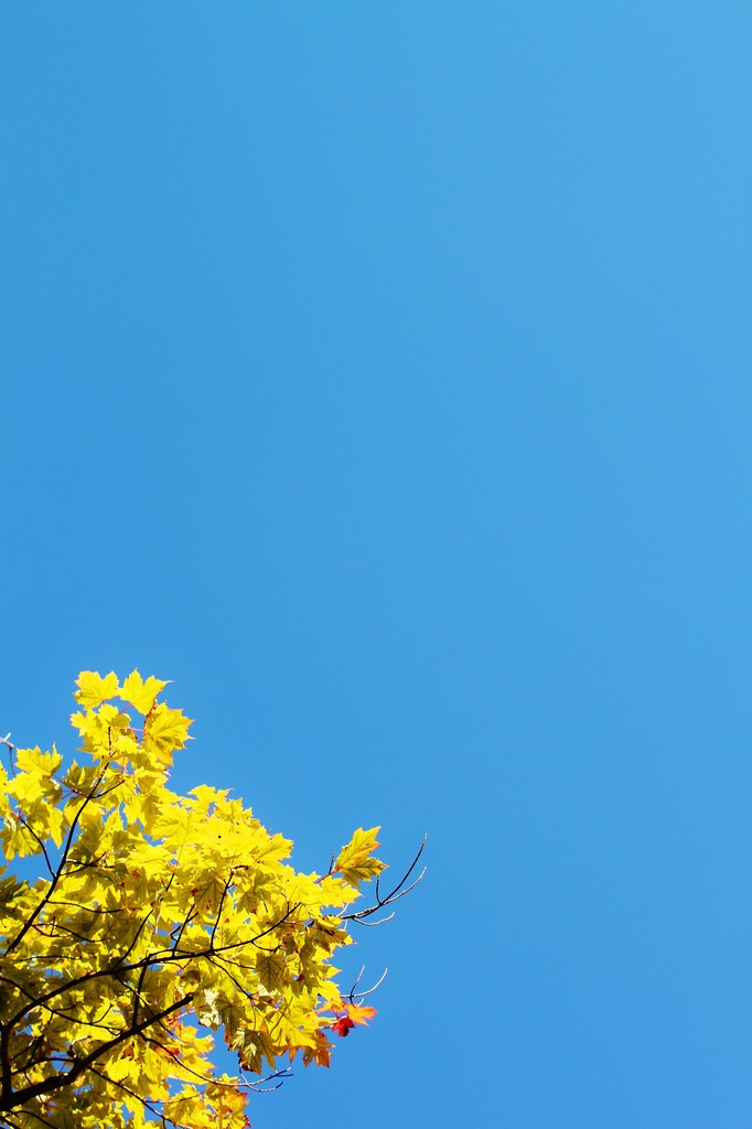 Blue sky! by edorreandresen