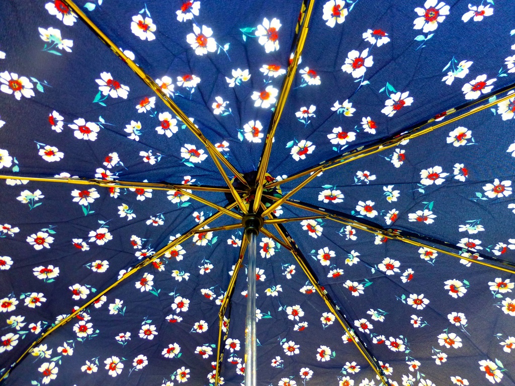 Umbrella by kjarn