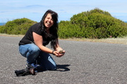 4th Nov 2013 - Deb rescues a tortoise