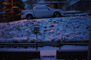 6th Nov 2013 - Morning Snow