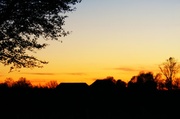 5th Nov 2013 - sunset silhouette