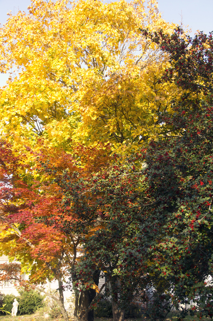 More Autumn Colour by hjbenson
