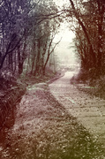 18th Oct 2013 - mysterious path