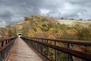 7th Oct 2013 - Pinkteron Tunnel