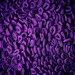 Purple Loops by kwind