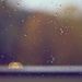Fall Rain by tina_mac
