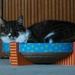 new scratcher adopted by parisouailleurs