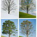 A Year in the Life of One Tree Hill by alophoto