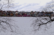 8th Nov 2013 - Lunenburg's Seasonal Change