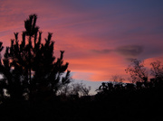 8th Nov 2013 - Colorado sunset