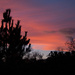 Colorado sunset by khrunner