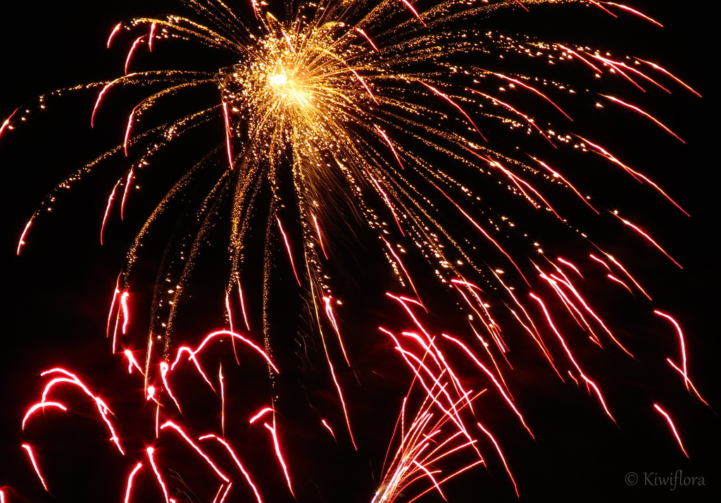 Fireworks by kiwiflora