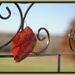 Trapped on the Trellis by genealogygenie