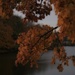 Evening Autumn Glow by digitalrn