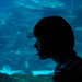 The Aquarium by darylo