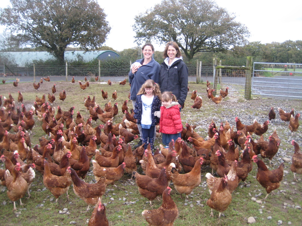 Auntie Madeleine's Chicken Farm by susiemc