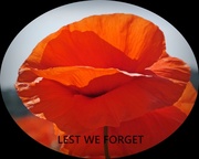 10th Nov 2013 - Lest We Forget