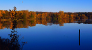 10th Nov 2013 - Moregreen Lake