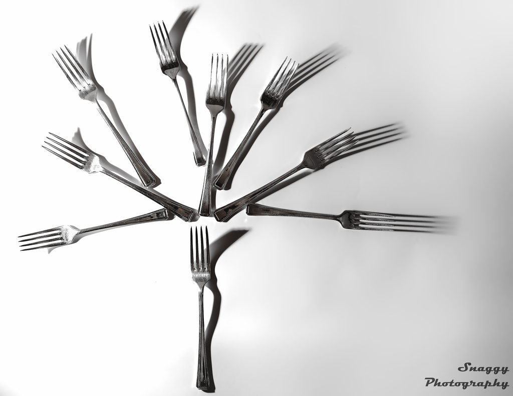 Day 312 - Tree of Forks by snaggy