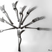 Day 312 - Tree of Forks by snaggy