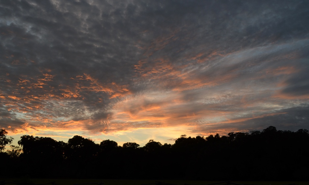 Sunset, Magnolia Gardens, 11/9/13 by congaree