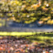 Barbed Wire. by gamelee