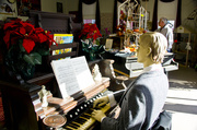 8th Nov 2013 - Organ Player